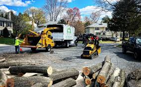 Best Pest Control for Lawns  in Meadow Vale, KY
