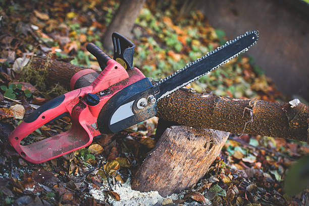 Best Emergency Tree Removal  in Meadow Vale, KY